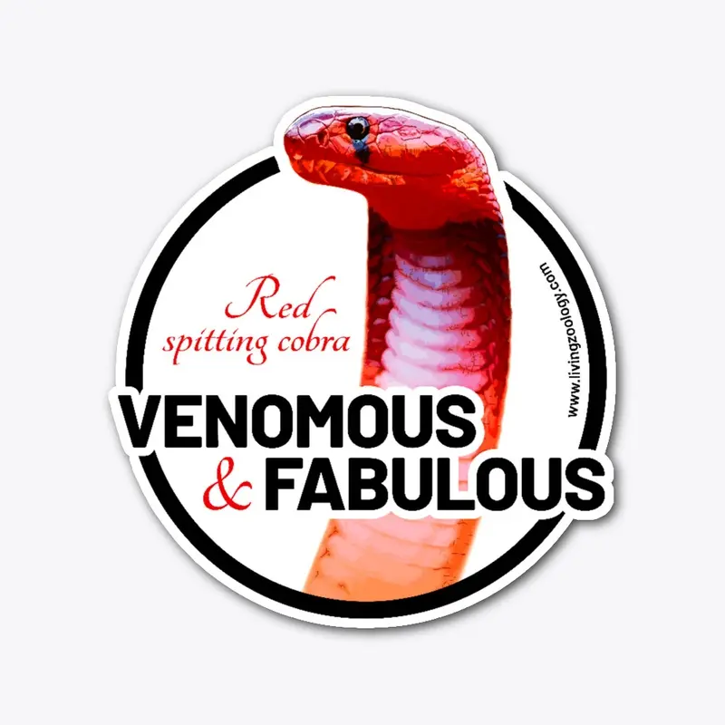 Venomous and Fabulous, Red cobra dark